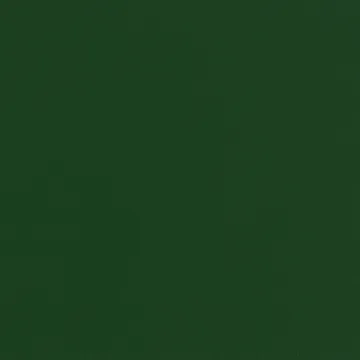 Chisel lounge chair - Lush green lakeret bøg - HAY