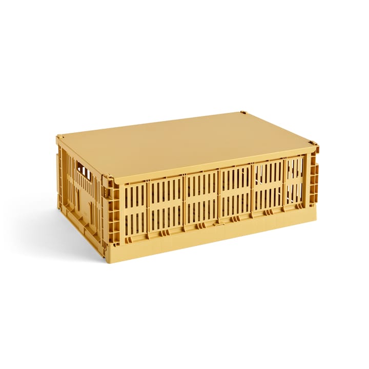 Colour Crate låg stort - Golden yellow - HAY
