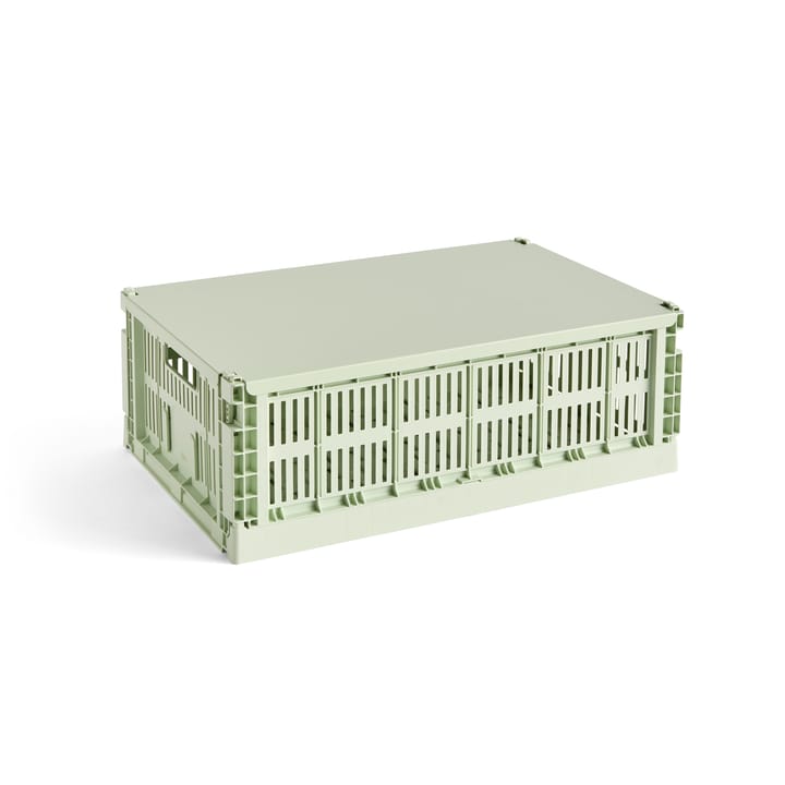 Colour Crate låg stort, Mint HAY