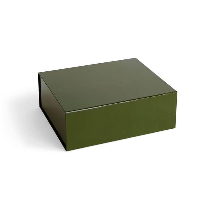 Colour Storage M æske med låg 29,5x35 cm - Olive - HAY