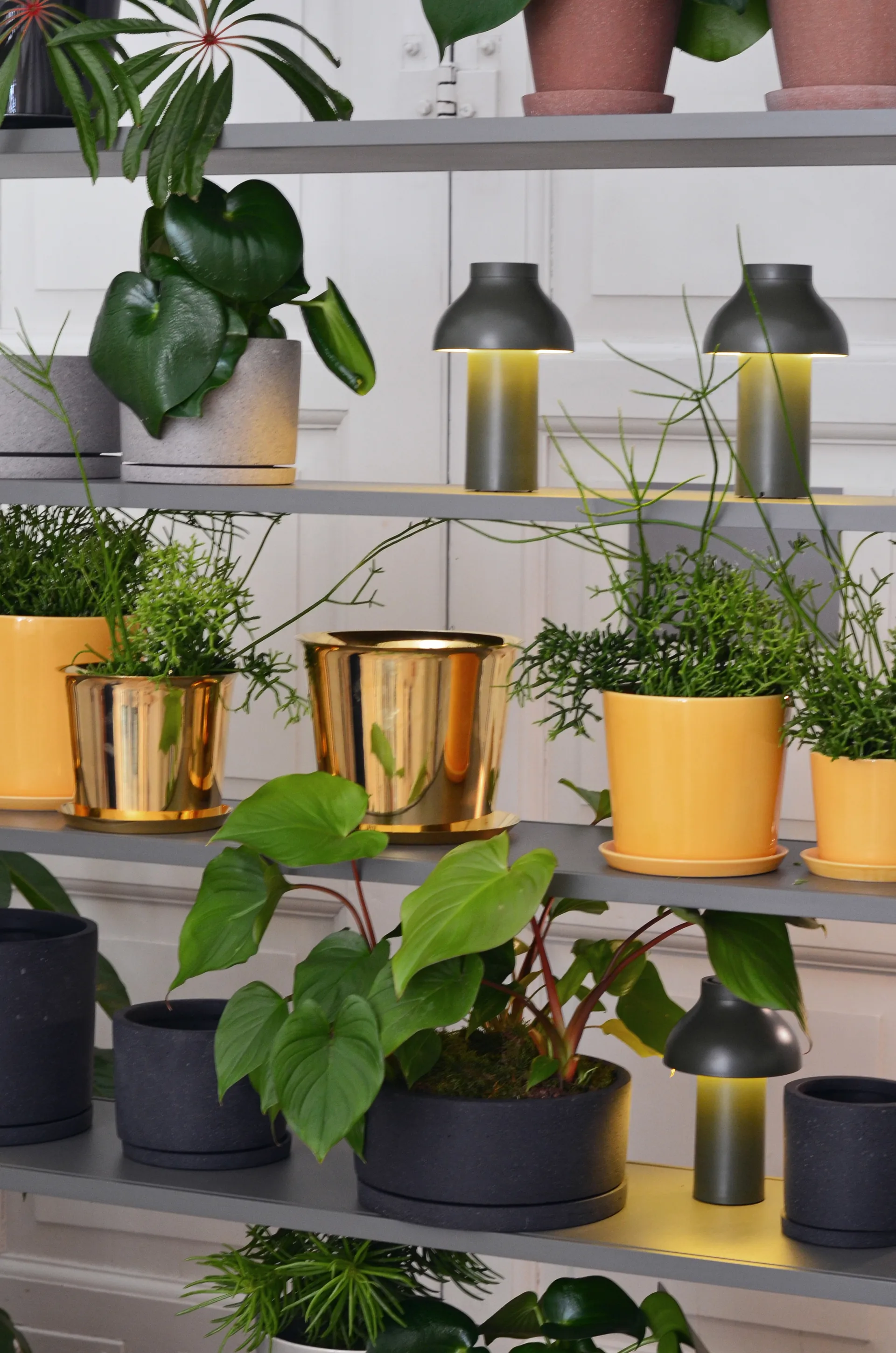 PC Portable bordlampe, Olive HAY