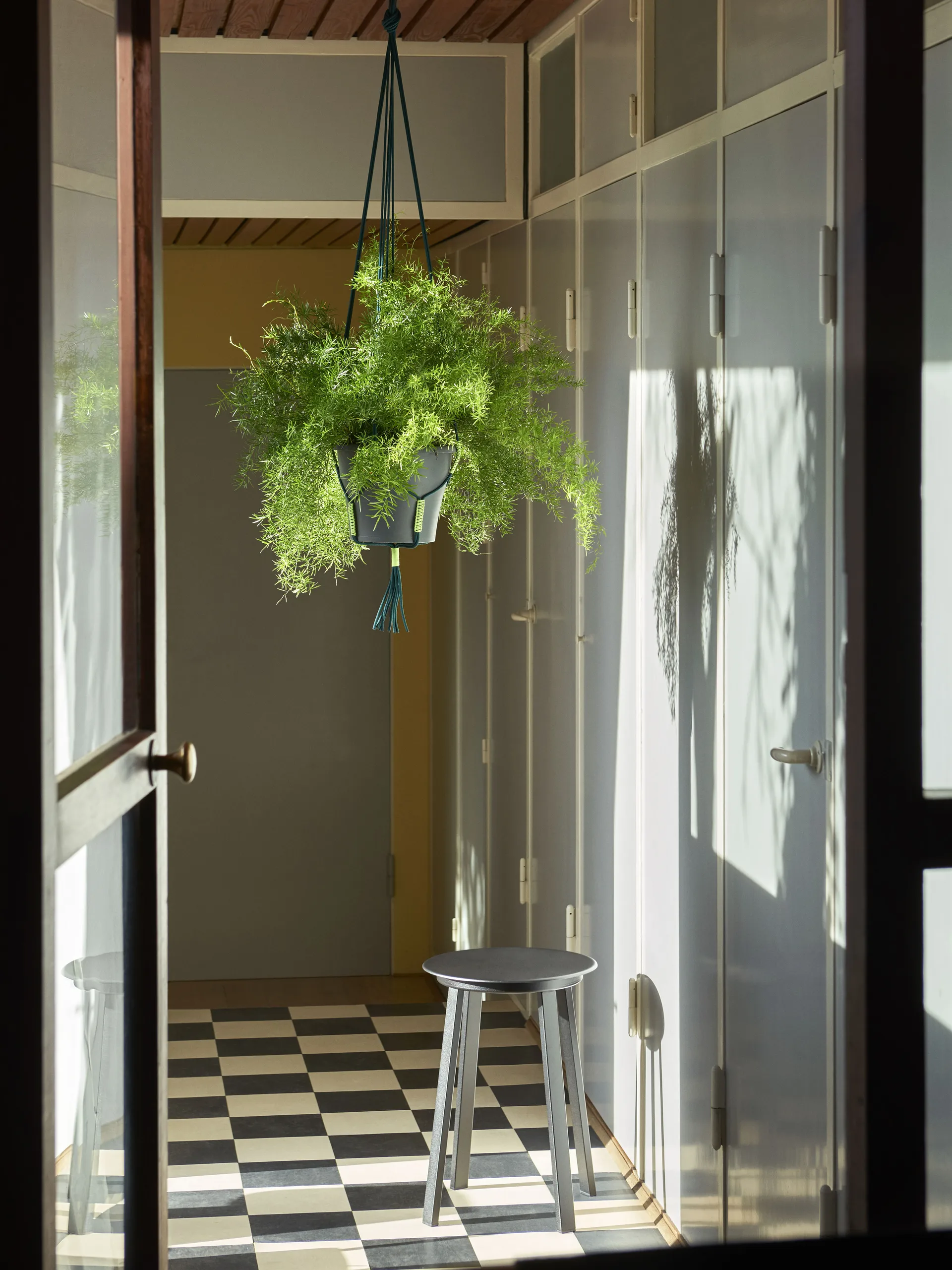 Phanta plant hanger ampel, Grøn HAY