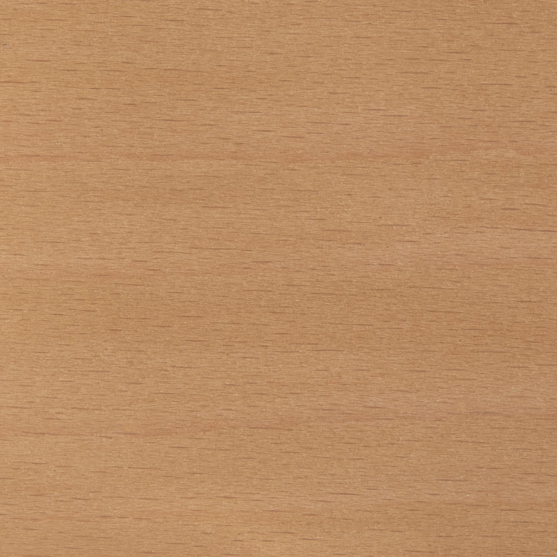 Rey Low barstol lakeret 65 cm, Golden HAY