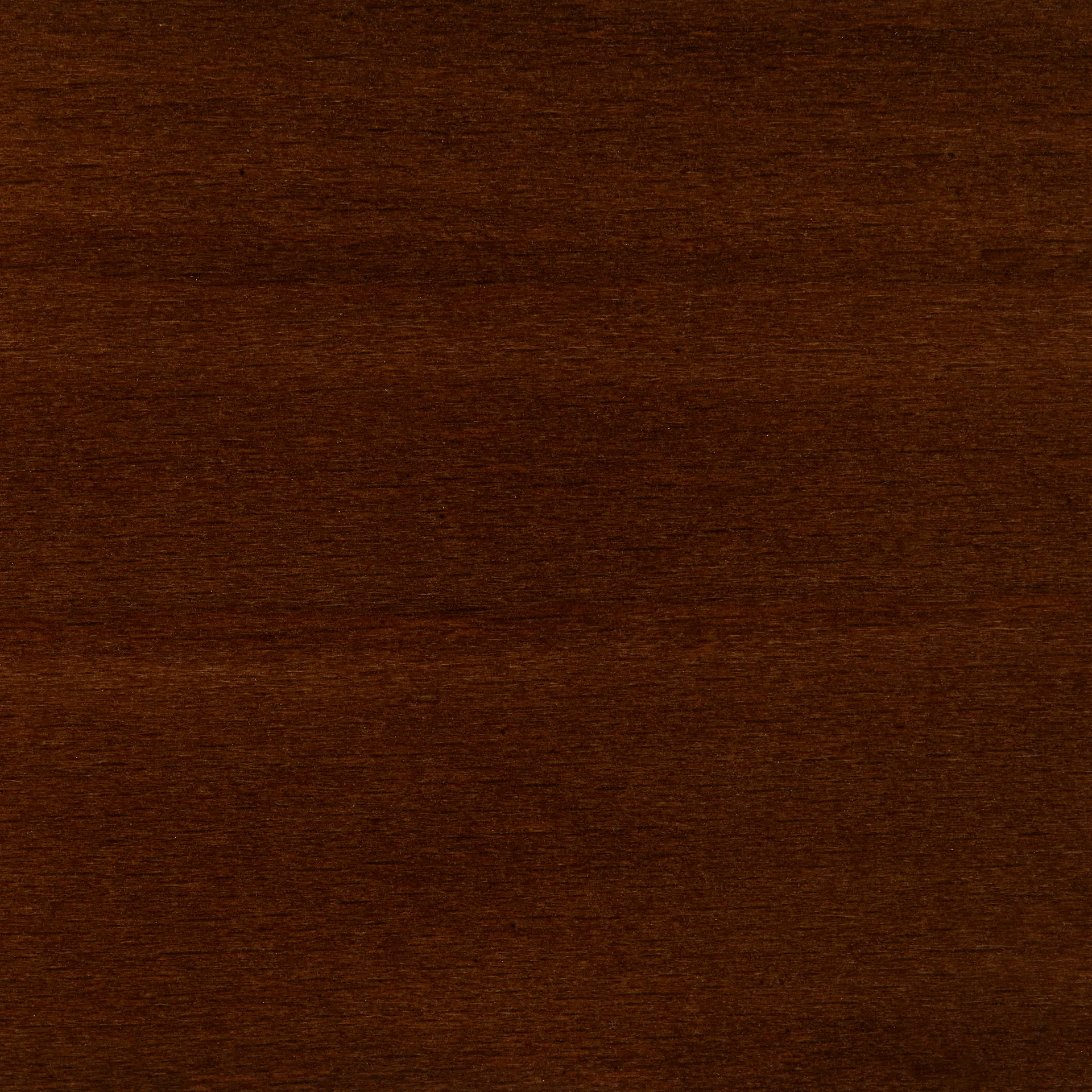 Rey Low barstol lakeret 65 cm, Umber brown HAY