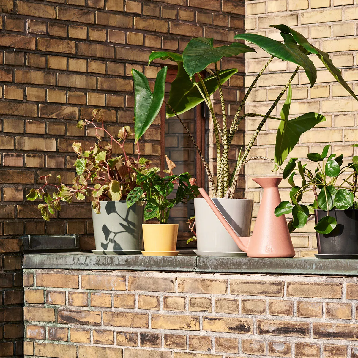 Watering Can vandkande 2 L, Terracotta HAY