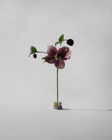 Kenzan vase - Ø2,3 cm - Hein Studio