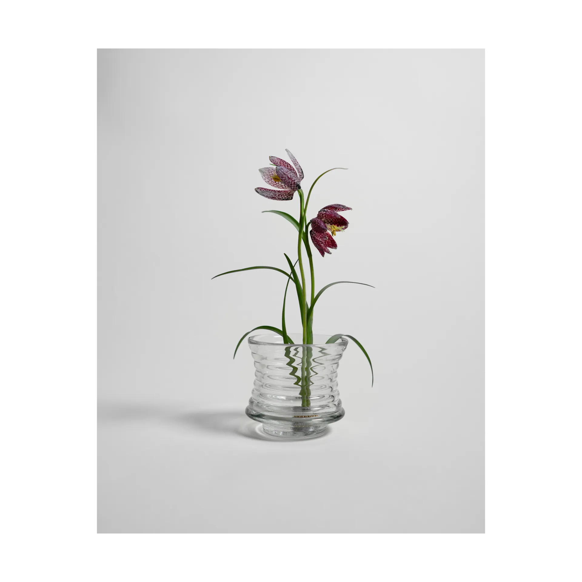 Kenzan vase, Ø6 cm Hein Studio