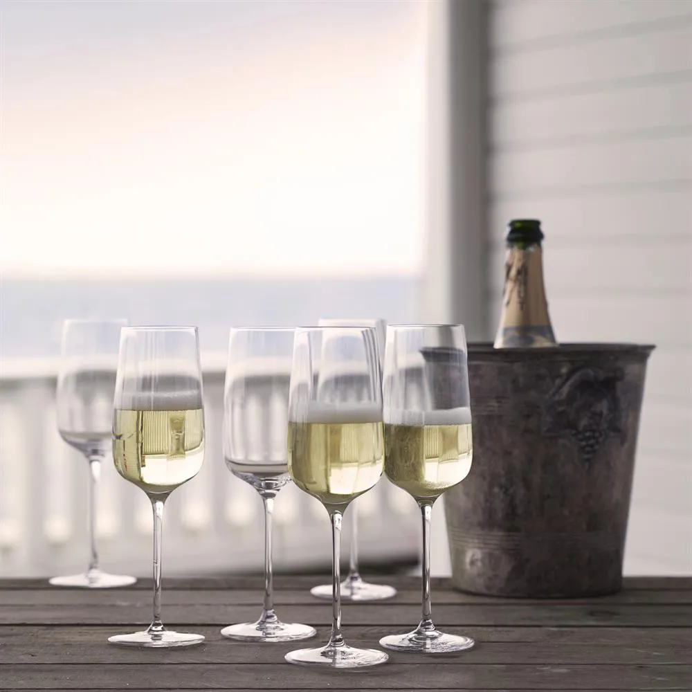 Bouquet champagneglas 6 stk 29 cl Holmegaard