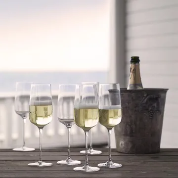 Bouquet champagneglas 6 stk 29 cl - Holmegaard