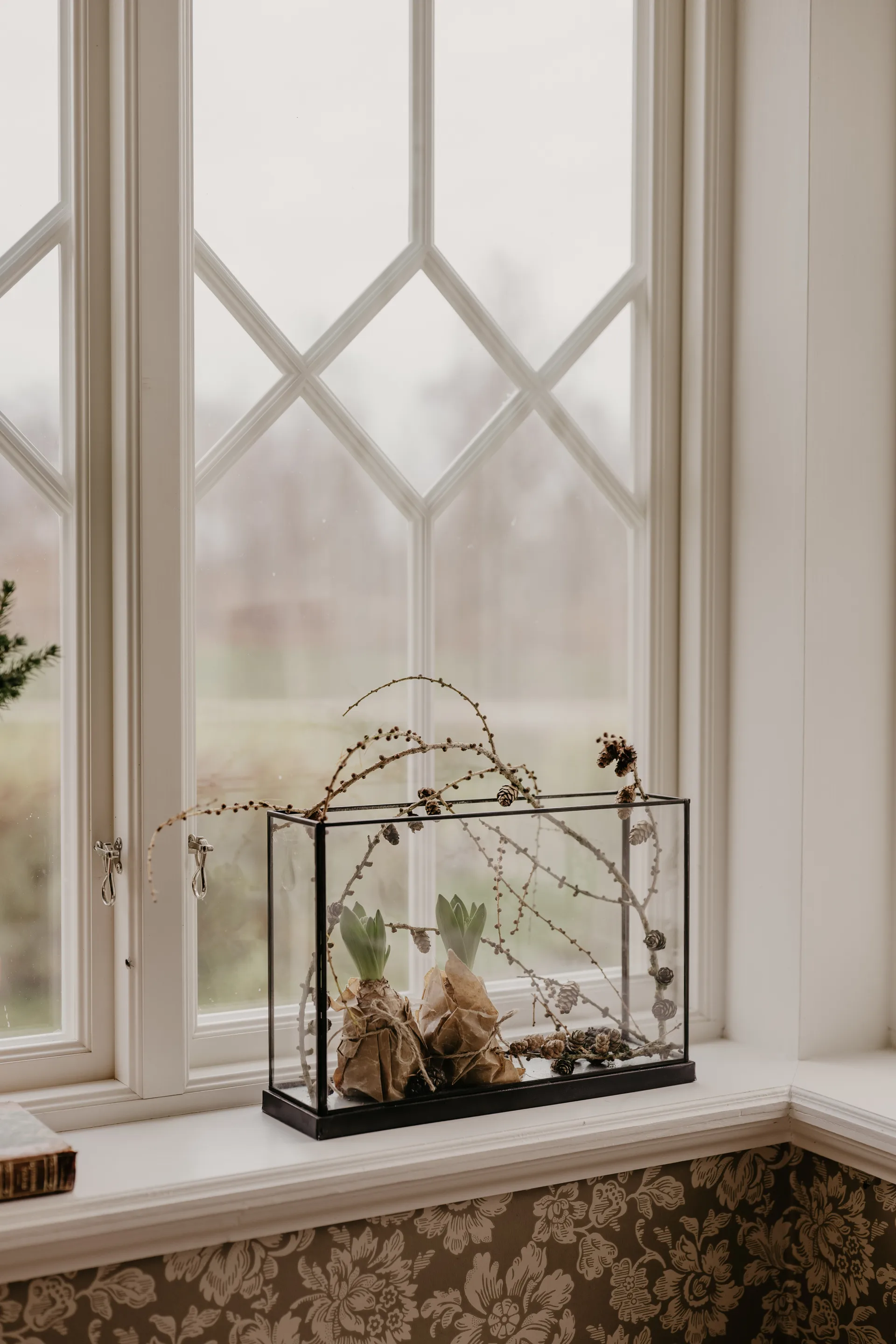 Advent montre, Metallic House Doctor