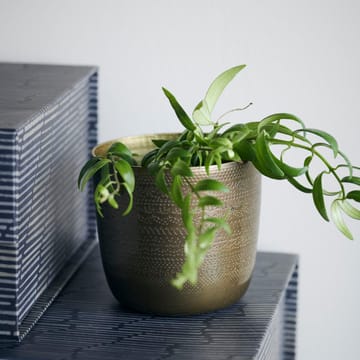 Chappra krukke Ø9,5 cm - Antik messing - House Doctor