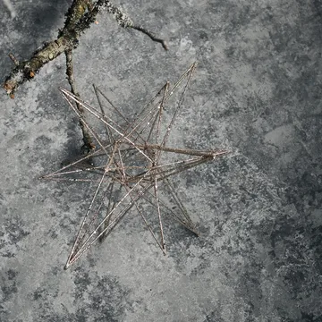 Star juledekoration 14x25 cm - Champagne - House Doctor