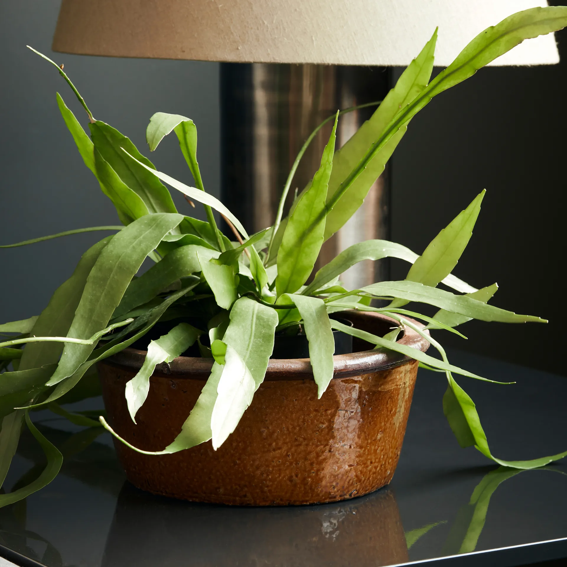 Whai urtepotte Ø30 cm, Sennepsgul House Doctor