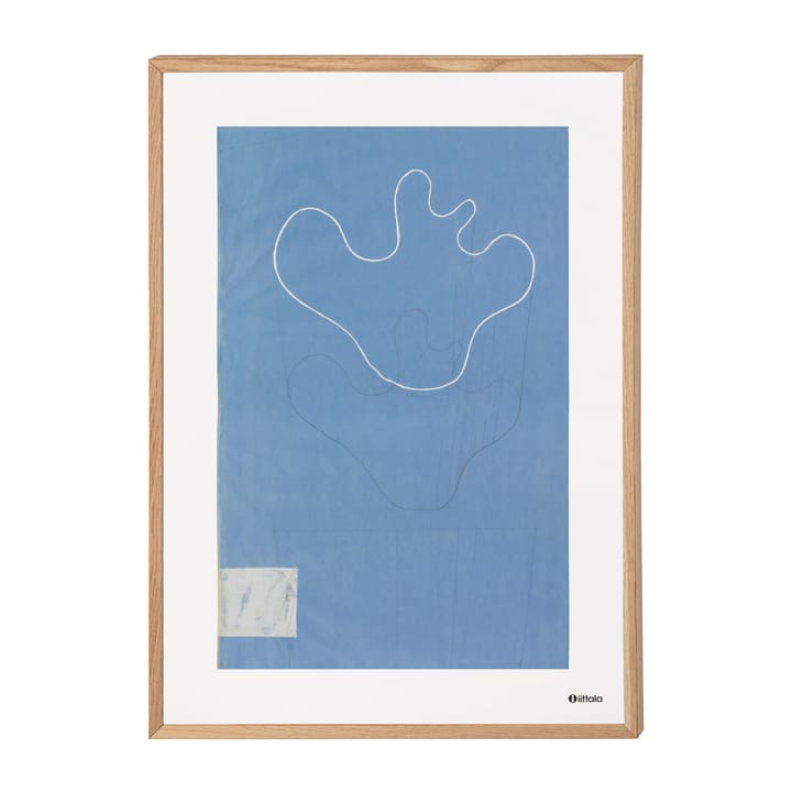 Aalto Art Sketch blue plakat - 50x70 cm - Iittala