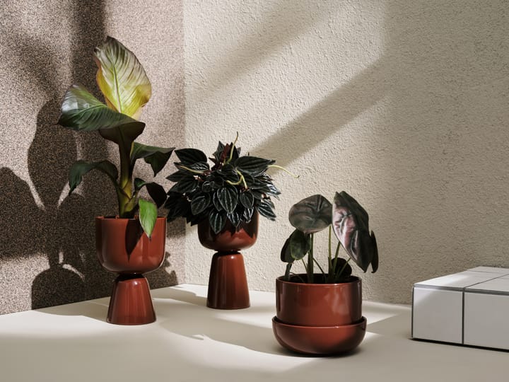 Nappula krukke med underskål Ø17 cm h13 cm, Brun Iittala