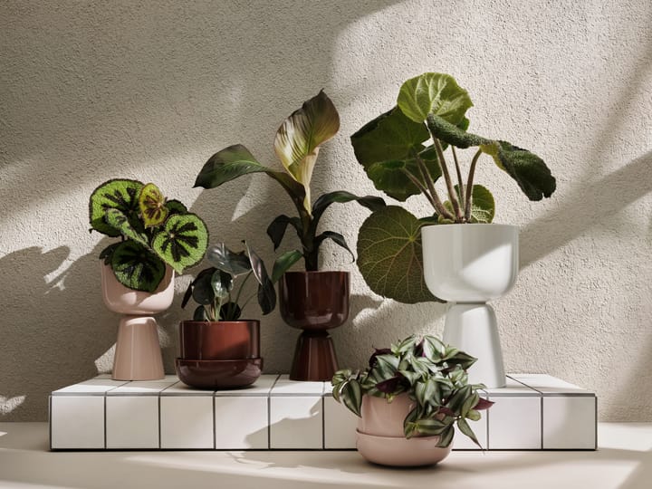 Nappula krukke med underskål Ø17 cm h13 cm, Brun Iittala