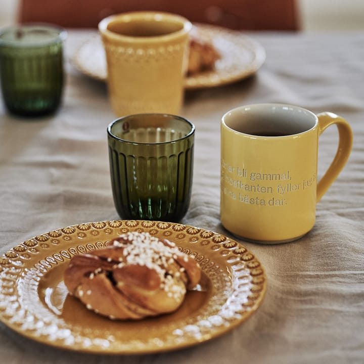 Raami drikkeglas 2-pak - Mosgrøn - Iittala