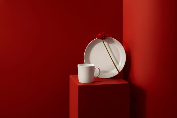 Teema starter sæt, 16 dele Iittala