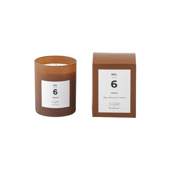 NO. 6 Sequoia duftlys - 200 g + Giftbox - Illume x Bloomingville