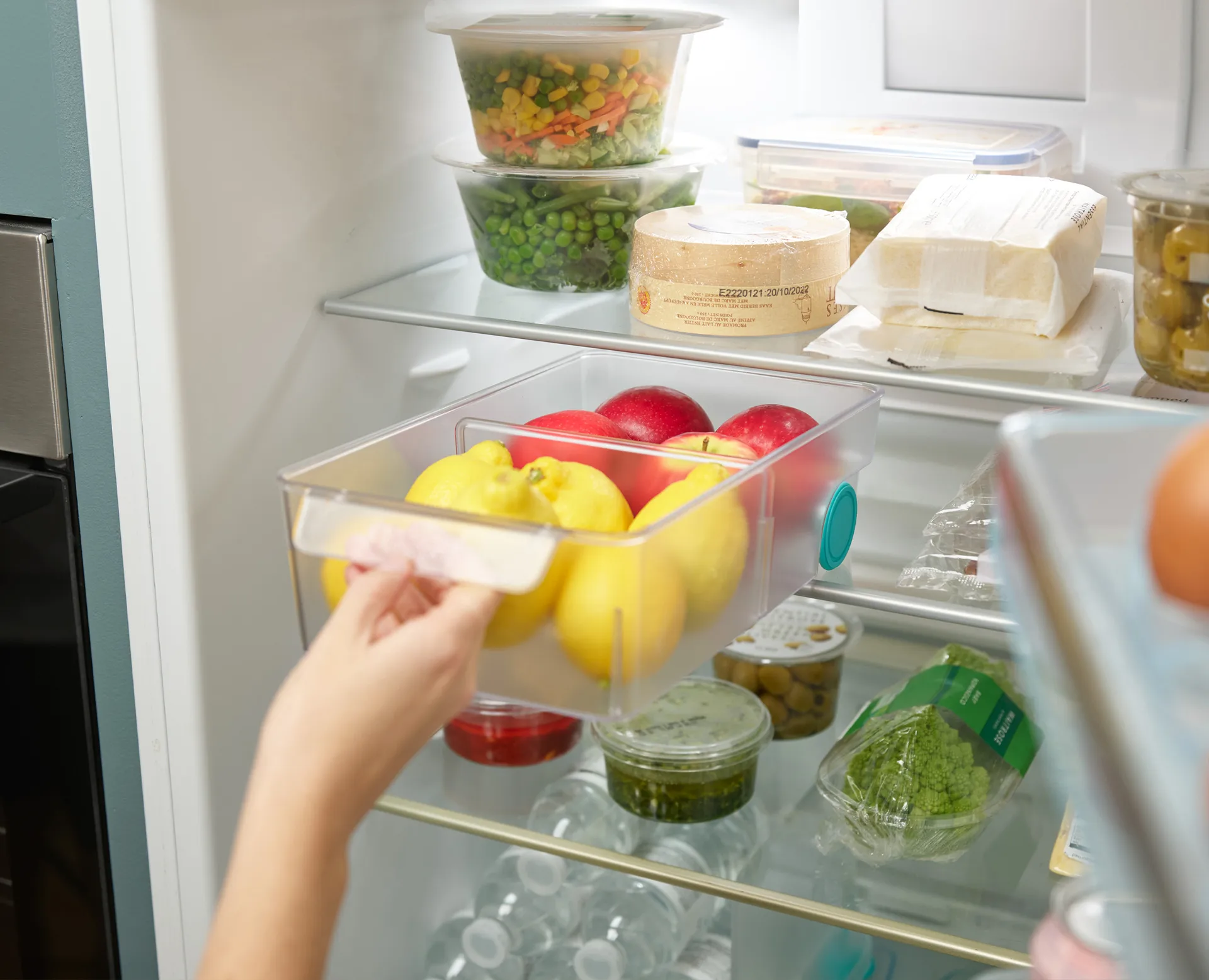 Fridgestore køleskabsopbevaring large, Gennemsigtig Joseph Joseph