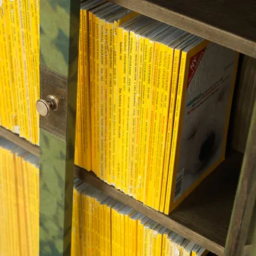 National Geographic 25 år bogskab - Grøn/messing-linnedstof-2 skuffer - Källemo