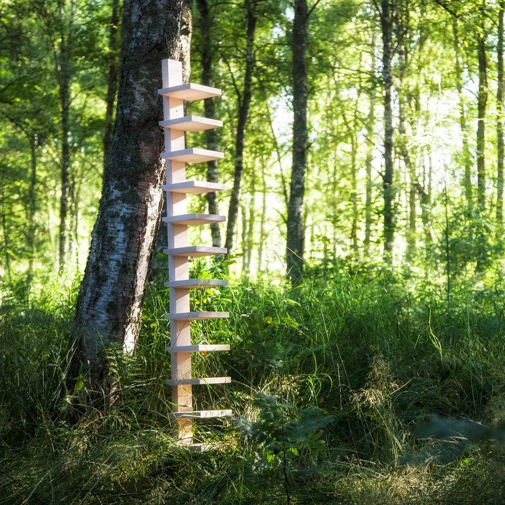 Pilaster væghylde, Naturlakeret birk Källemo