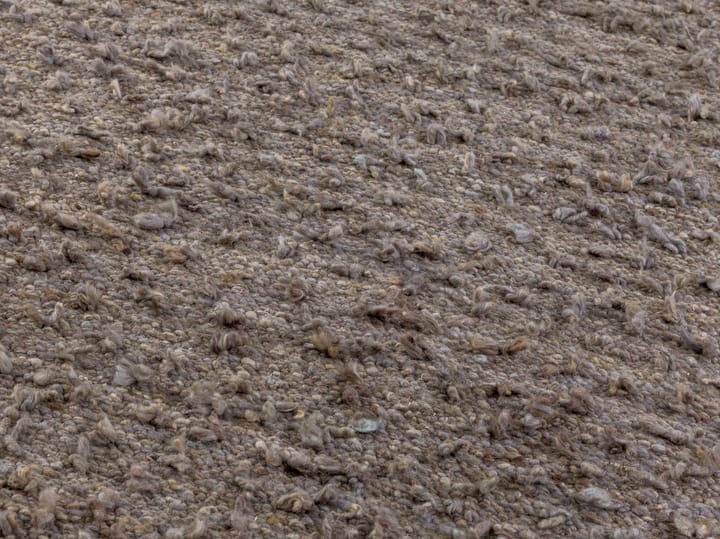Woolly tæppe, Light brown 170x240 cm Kateha