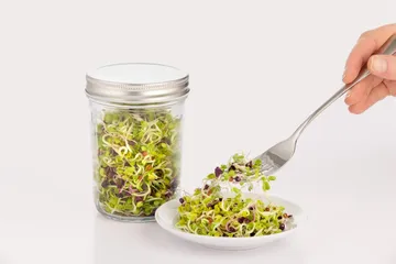 Kilner spiresæt - Klar-hvid, 500 ml - Kilner
