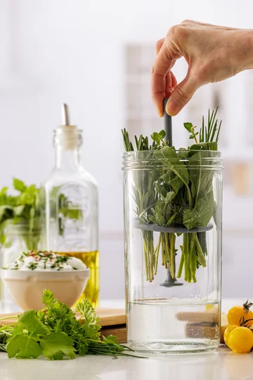 Kilner urteopbevaring - Klar - Kilner