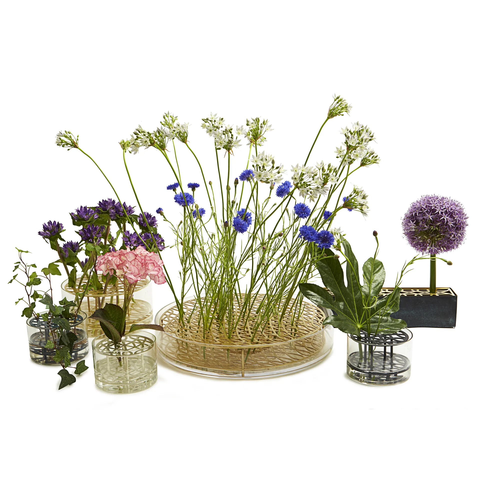 Äng vase, lille, sort KLONG