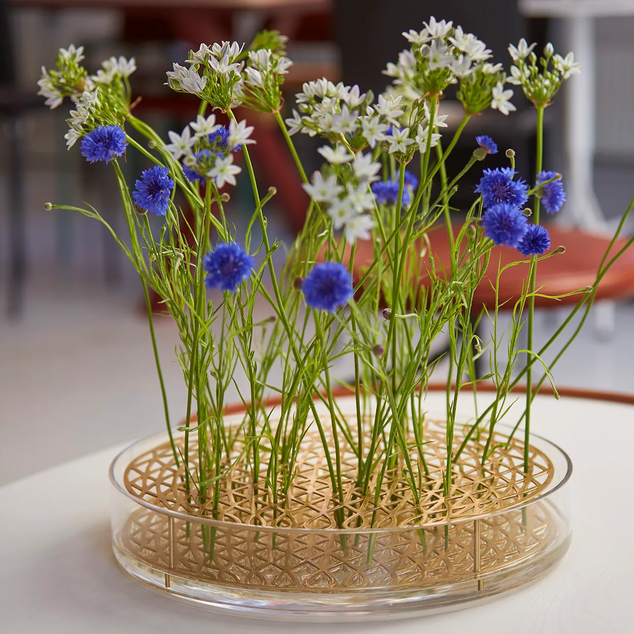 Äng vase, mega, messing KLONG