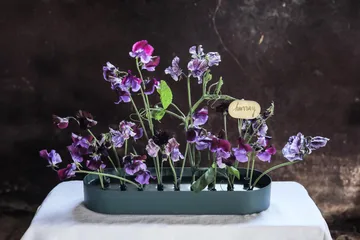 Jubel multifunktionel vase 45x14 cm - Steel/Blue - KLONG