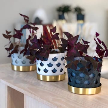 Trio krukke dråbe lille Ø12 cm - Hvid - KLONG