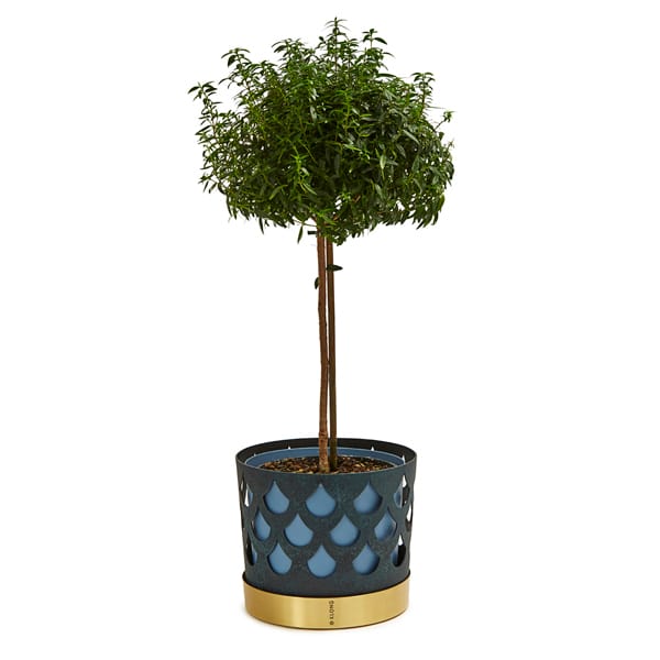 Trio krukke drop, stor Ø28 cm, Blå KLONG