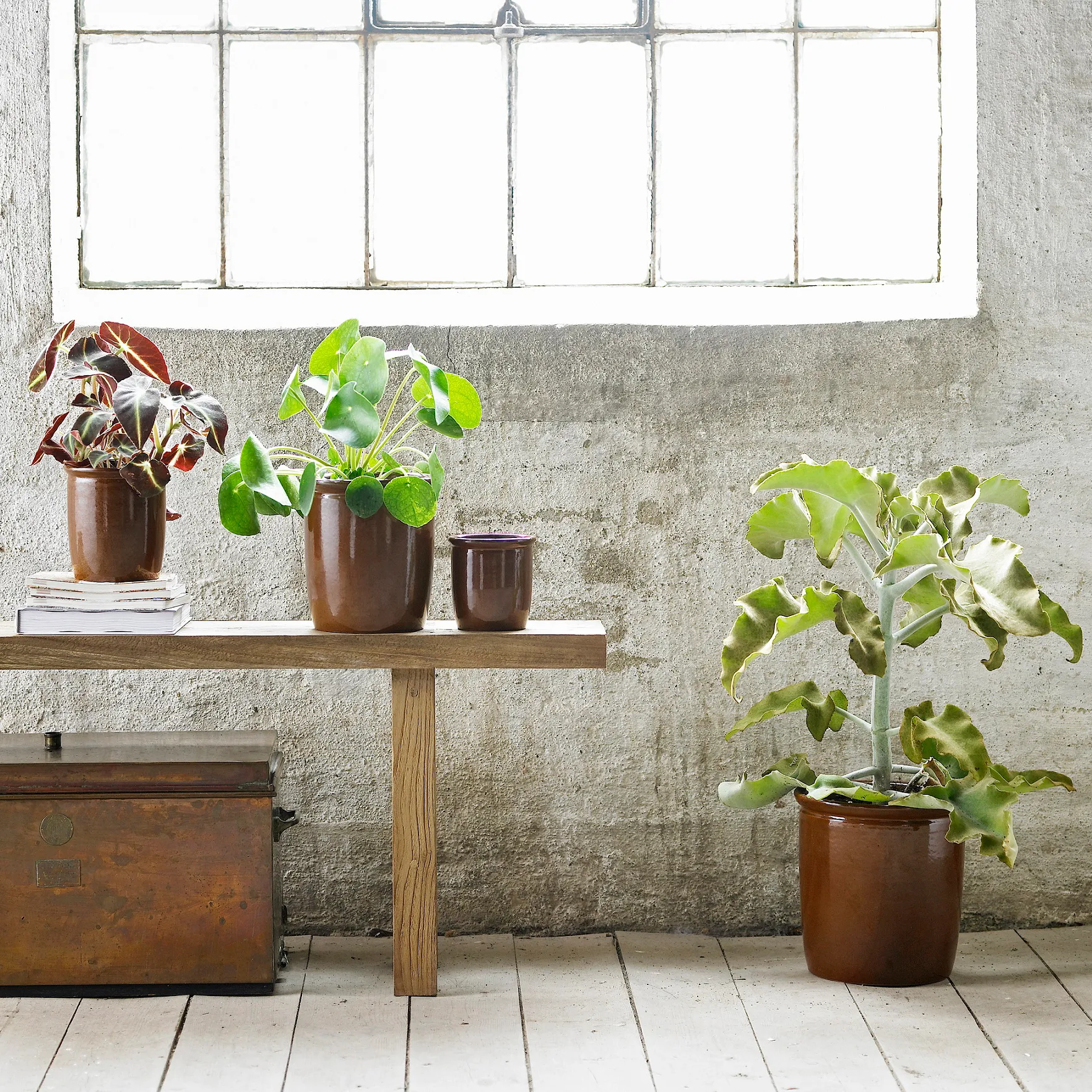 Pickle burk 2 l, Brun Knabstrup Keramik