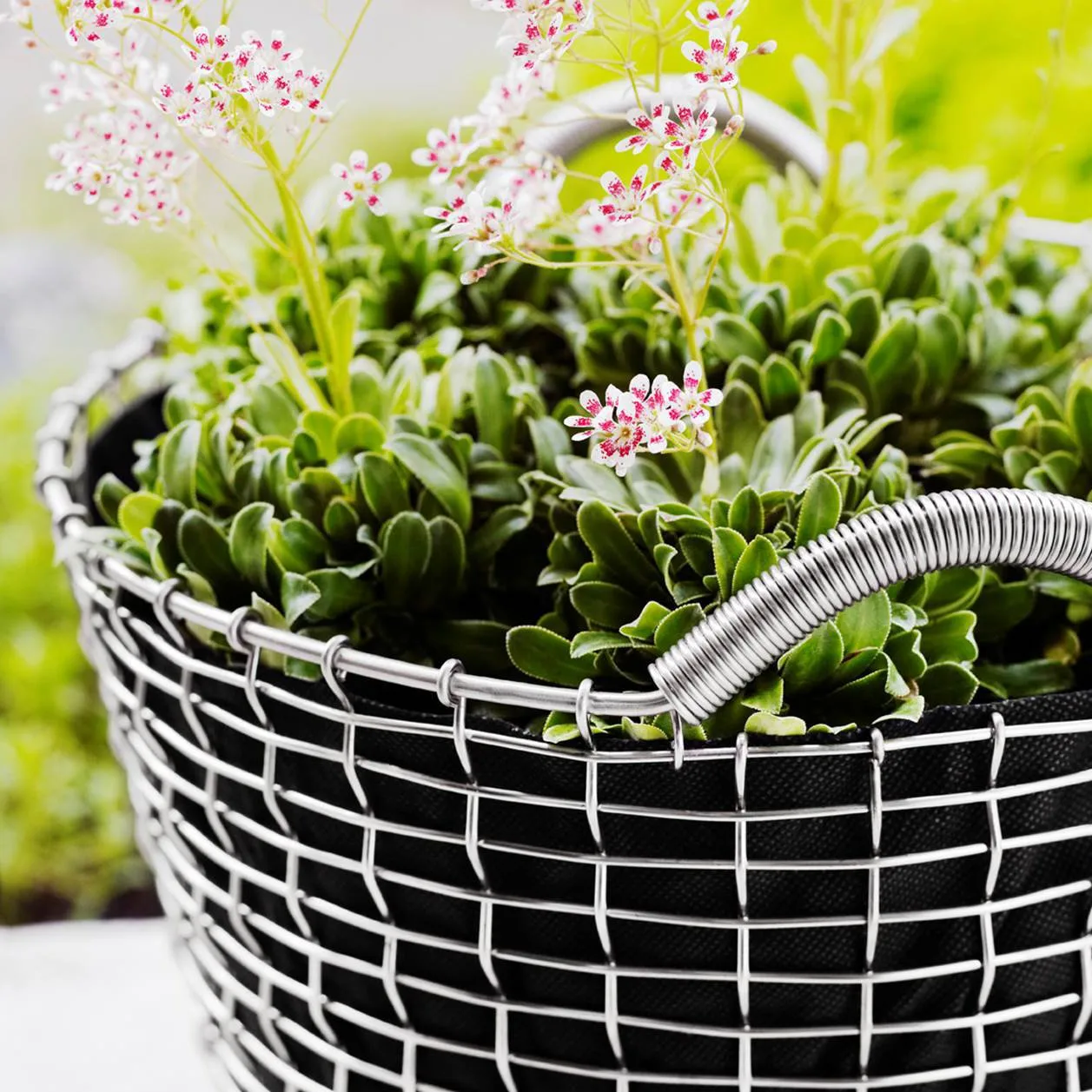 Korbo classic 50, syrefast stål KORBO