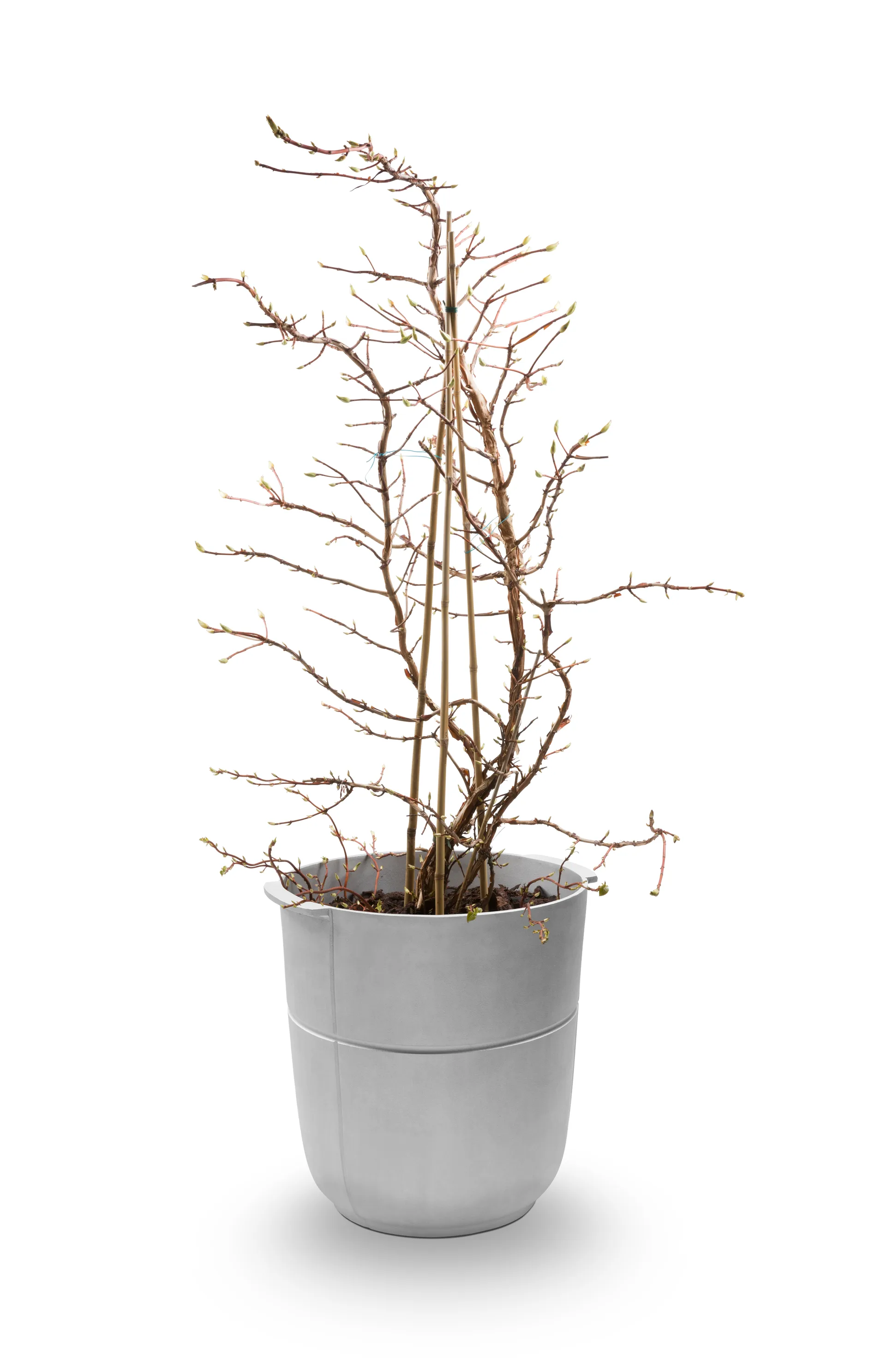 Linea krukke nr 1 høj, Aluminium KORBO