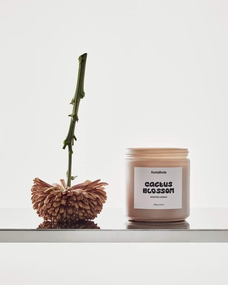 Mind duftlys, Cactus Blossom, 330 g Kosta Boda