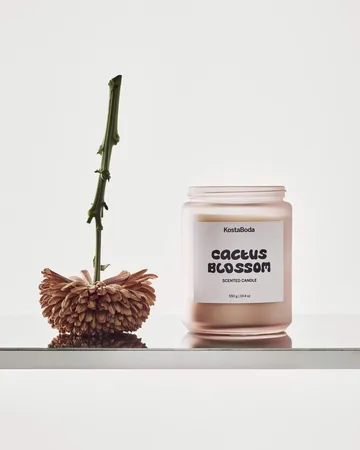 Mind duftlys - Cactus Blossom, 550 g - Kosta Boda