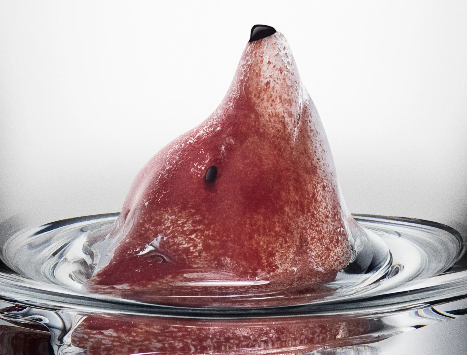 New Friends glas 46 cl, Ræv Kosta Boda