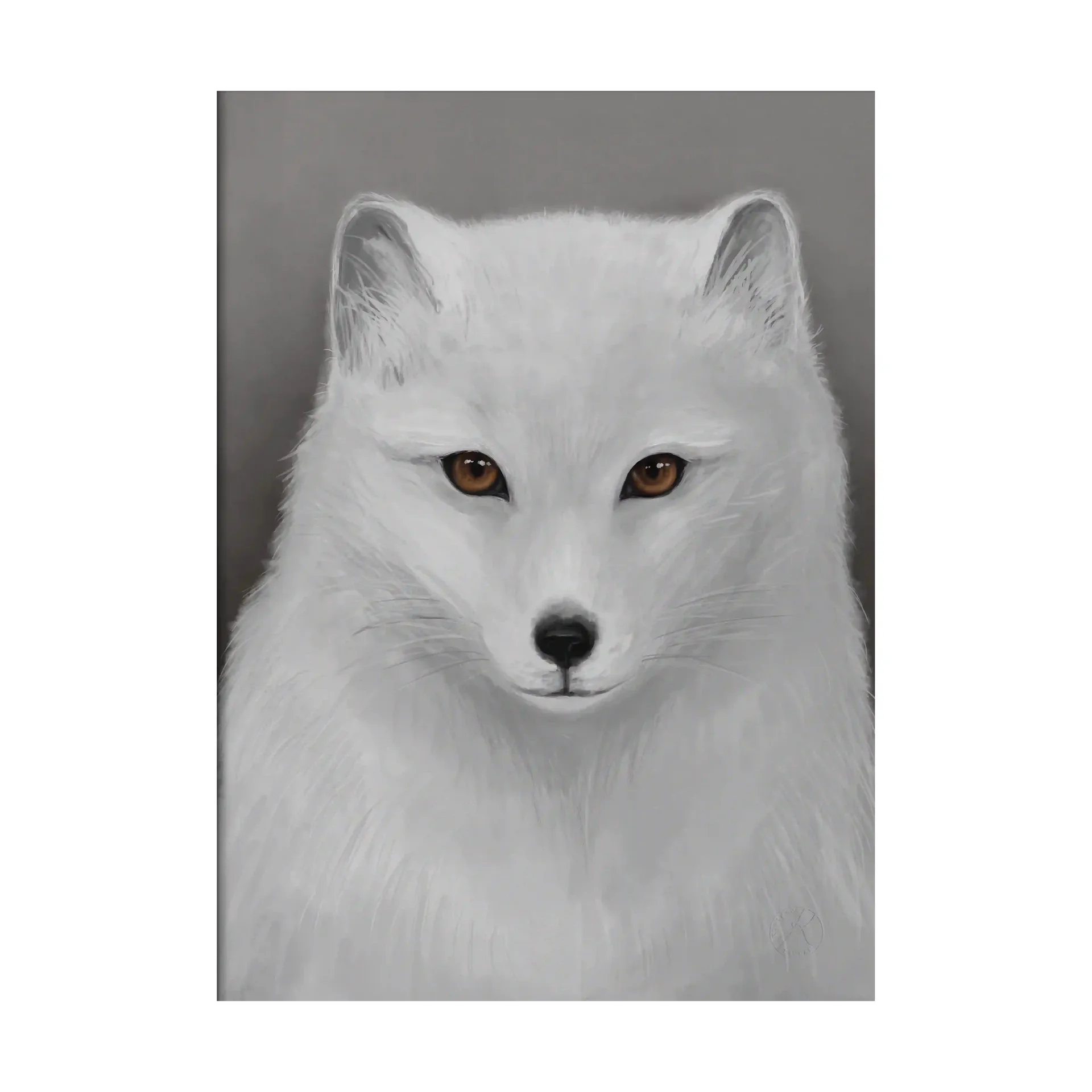The Arctic Fox plakat, 50x70 cm Kunskapstavlan®
