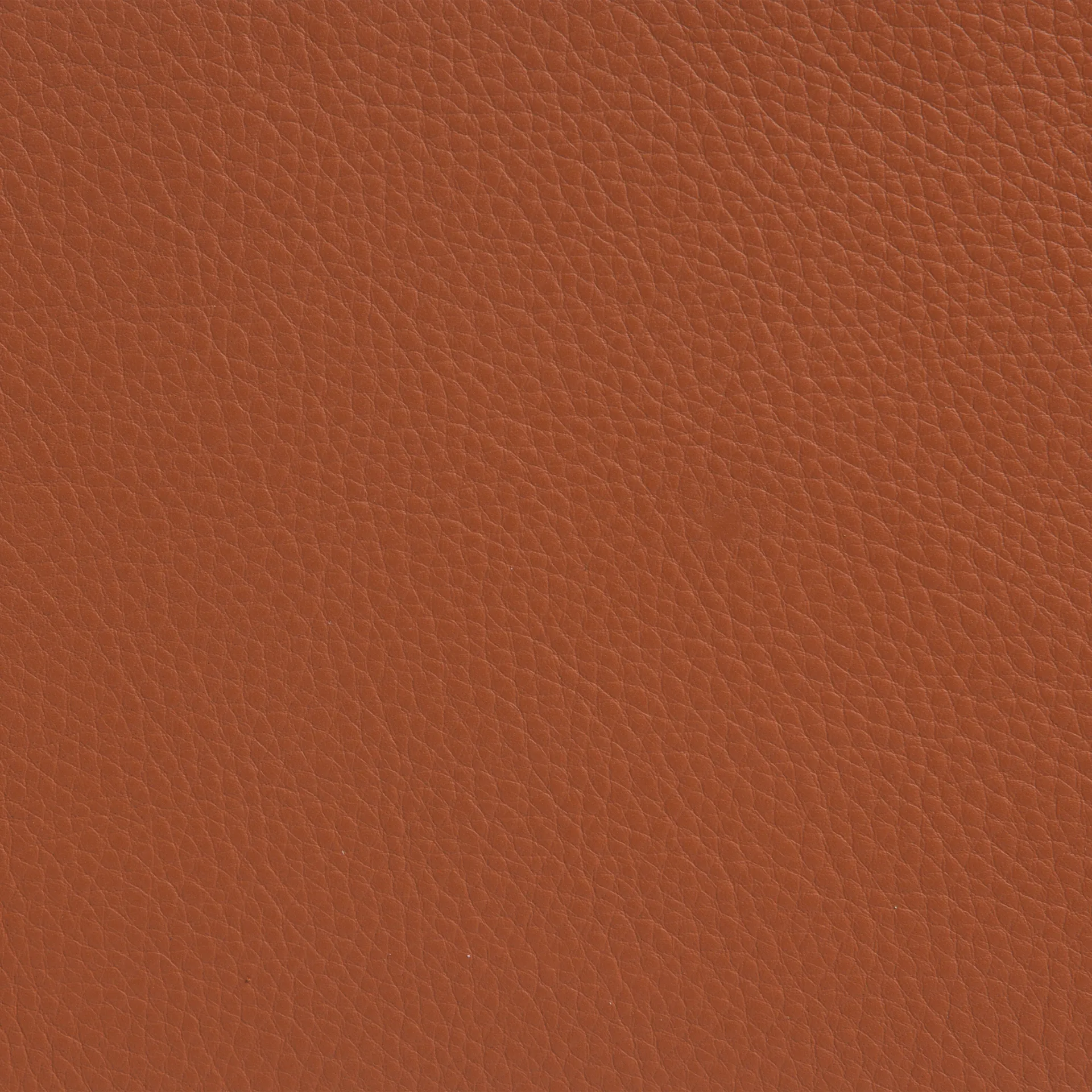 Sunny lænestol med armlæn, Læder Cognac-kromstativ m. hjul Lammhults