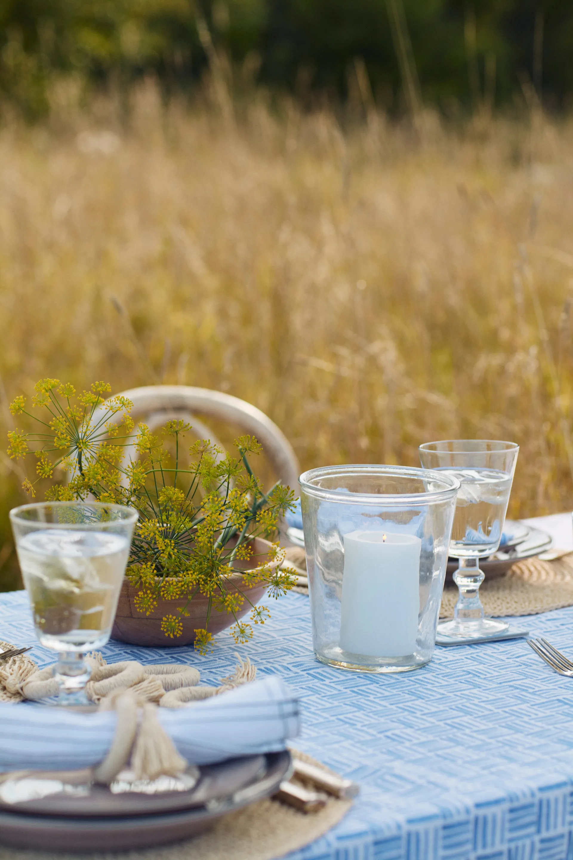 Graphic Printed Cotton serviet 50x50 cm, Blue/White Lexington