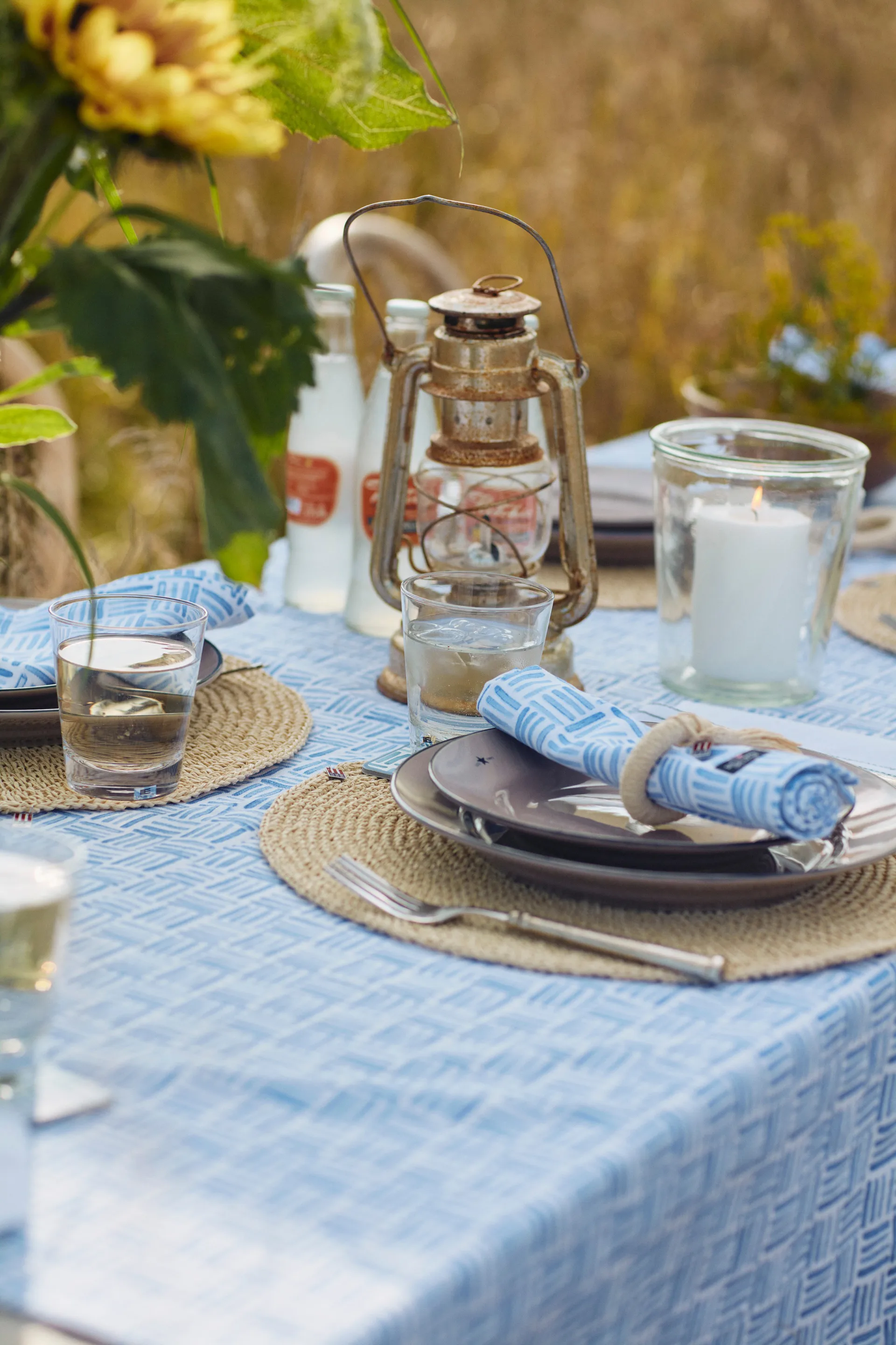 Graphic Printed Cotton serviet 50x50 cm, Blue/White Lexington