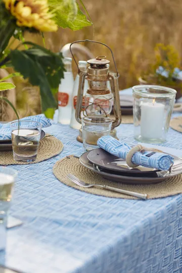 Graphic Printed Cotton serviet 50x50 cm - Blue/White - Lexington