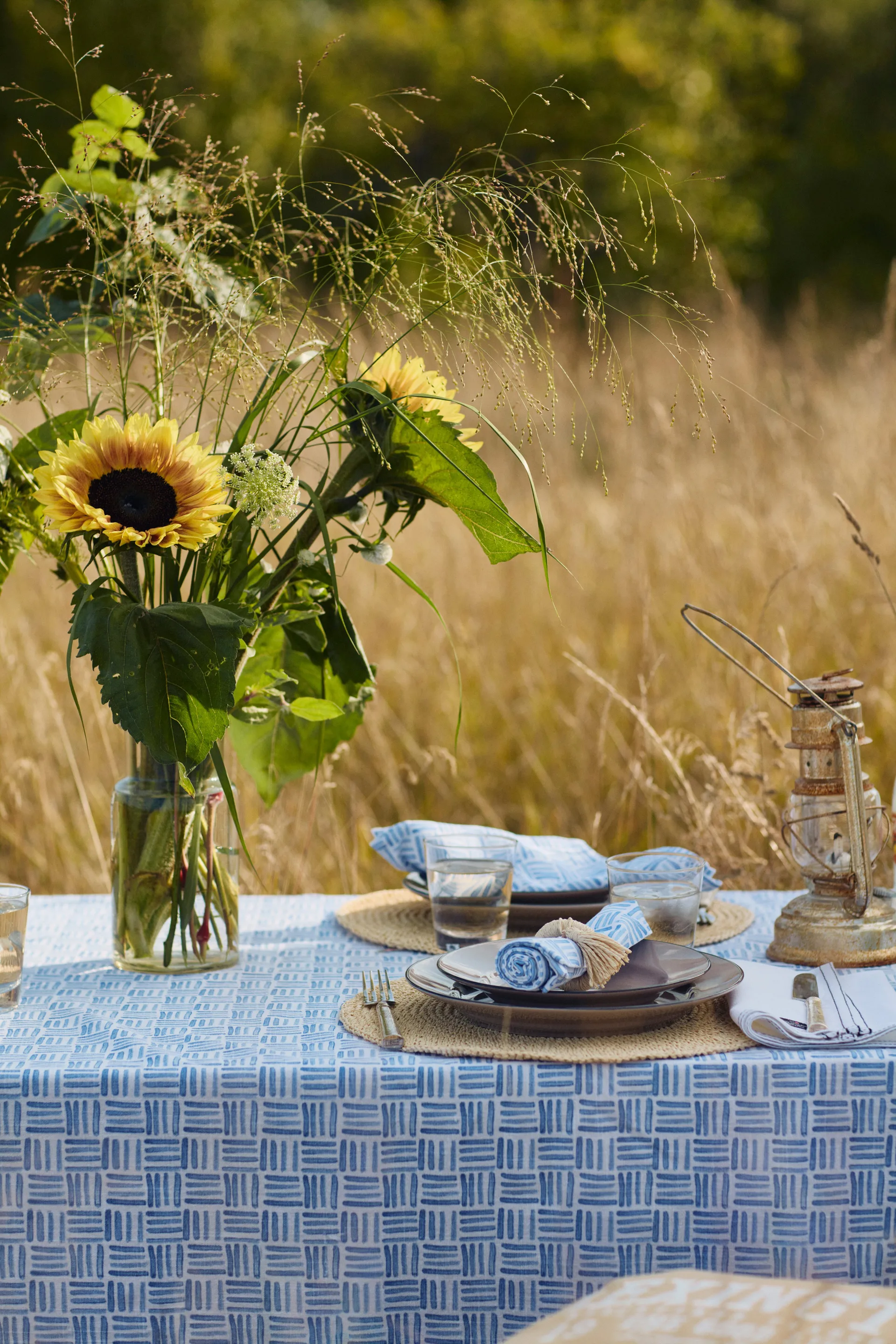 Graphic Printed Cotton serviet 50x50 cm, Blue/White Lexington