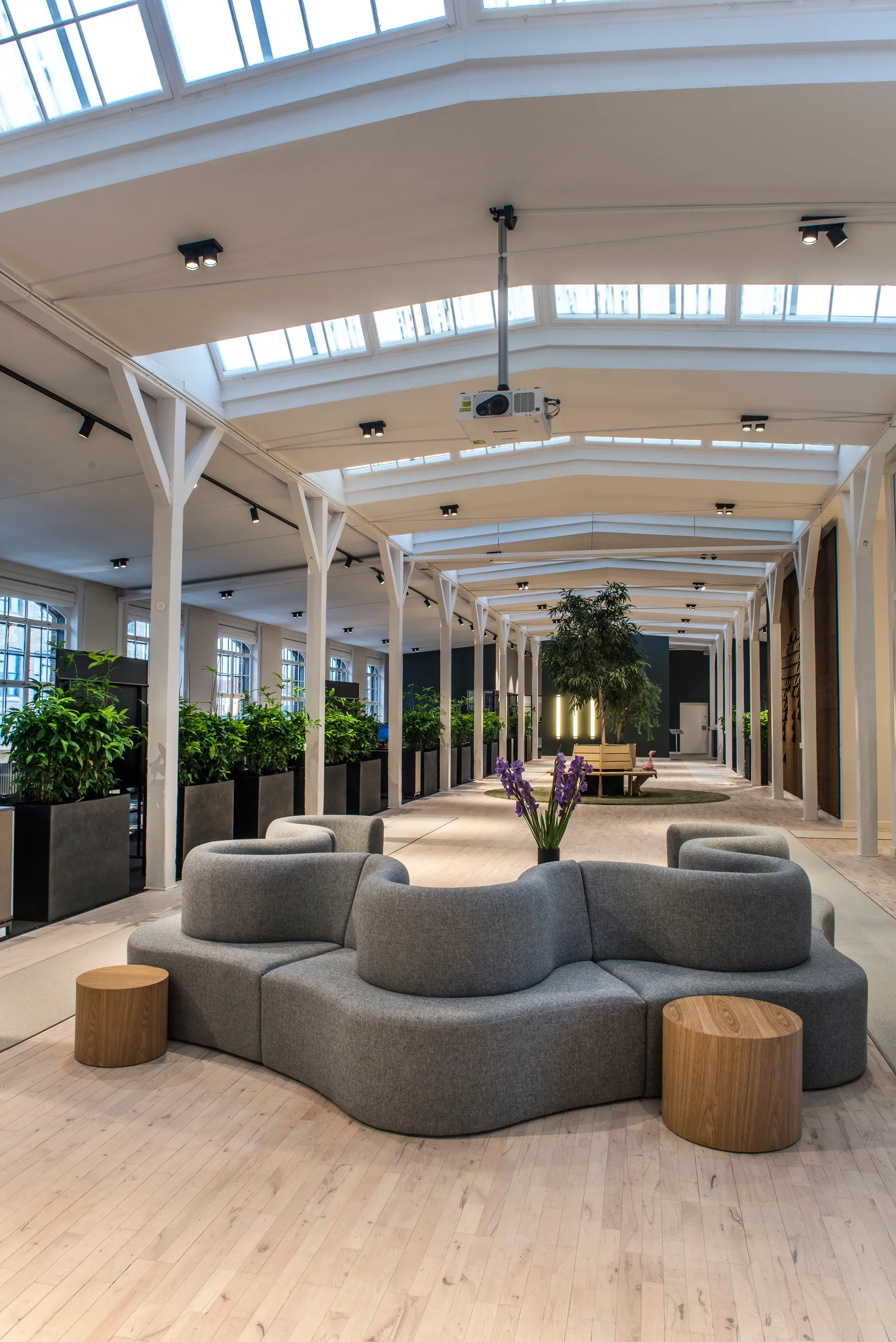 Focus 2 væg- og loftlampe switch tune, Black Light-Point