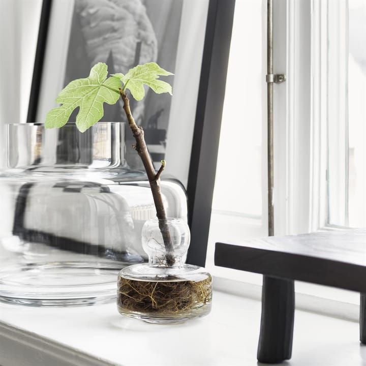Urna vase 21 cm, klar Marimekko