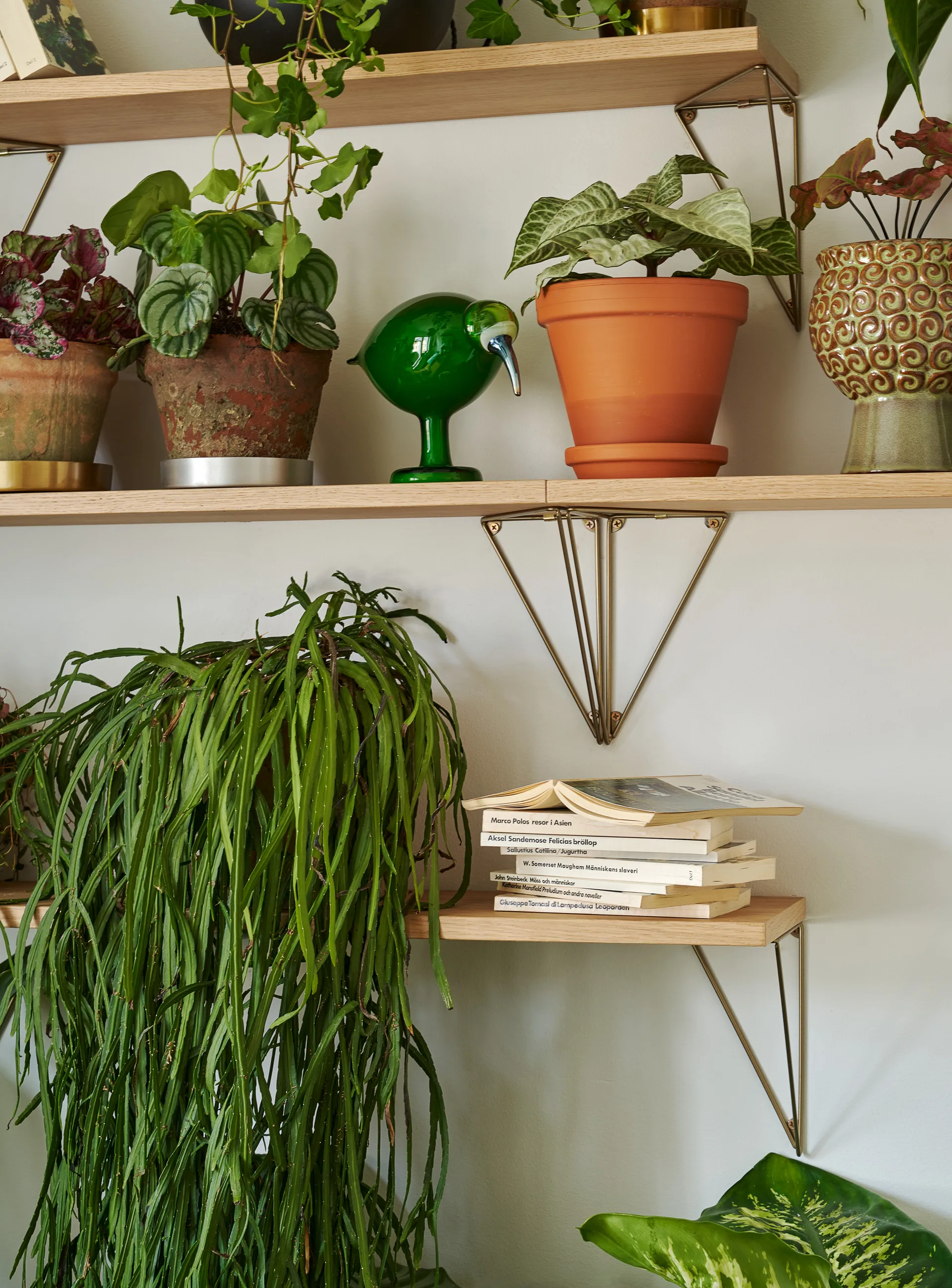 Pythagoras hylde, eg Maze