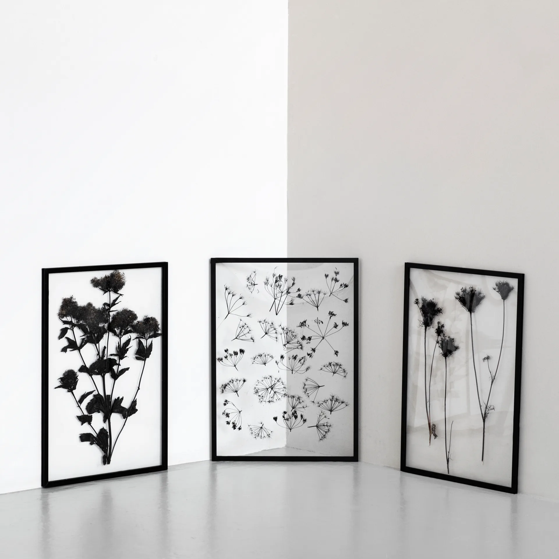 Moebe Frame A2, Sort MOEBE